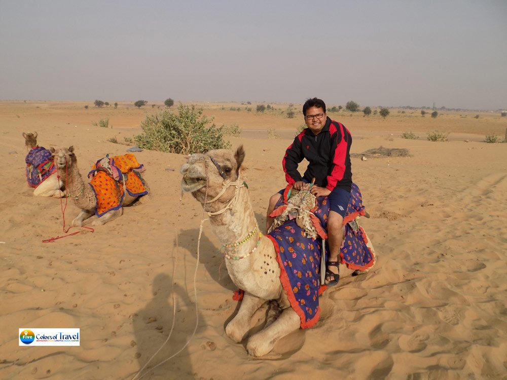 Desert National Park: थार रेगिस्तान के बीच भारत का इकलौता राष्ट्रीय उद्यान