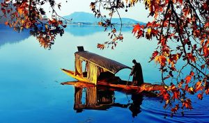 kashmir