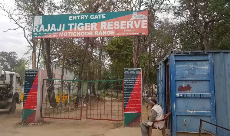 राजाजी नेशनल पार्क