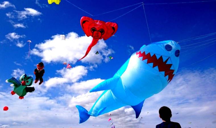 Cape Town International Kite Festival 2025