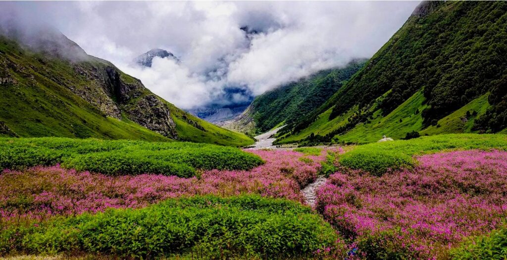 India Special Spring Travel: बसंत में खिल उठती हैं भारत की ये खूबसूरत जगहें