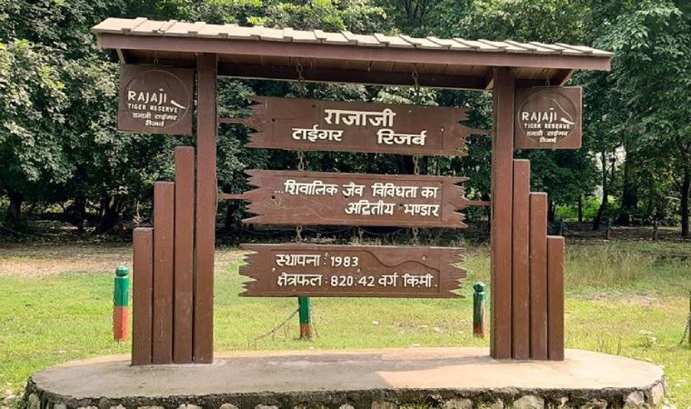 राजाजी नेशनल पार्क