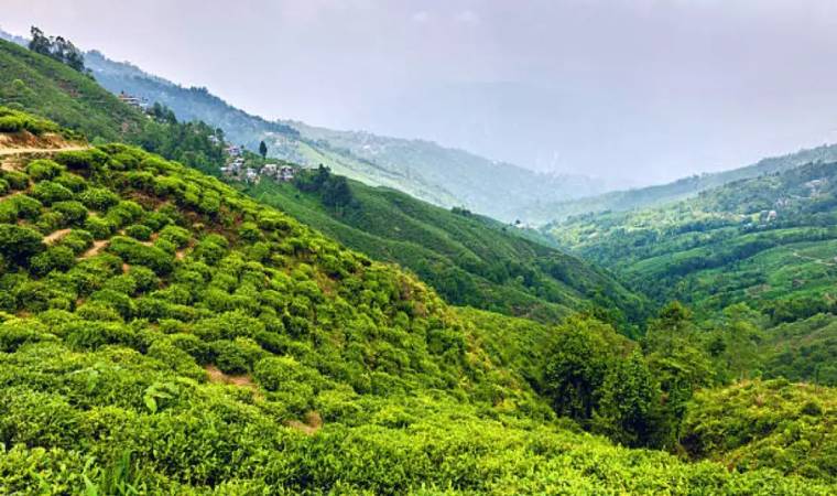 दार्जिलिंग