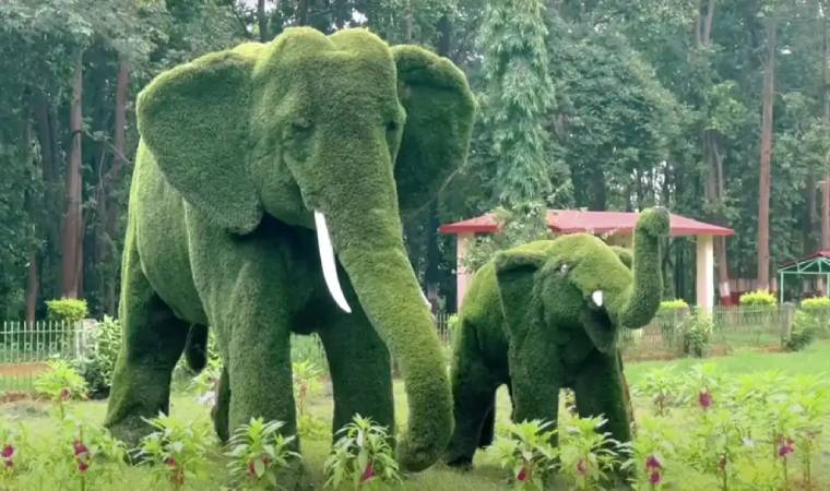 बिरसा मुंडा पार्क