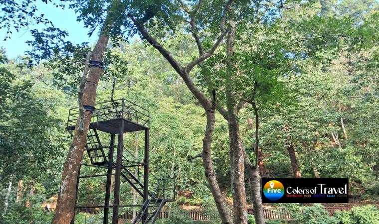 जिम कॉर्बेट वॉटरफॉल