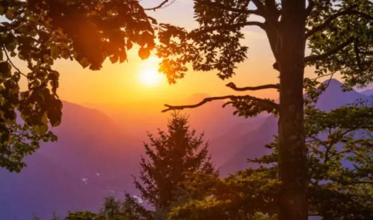 अरुणाचल प्रदेश का डोंग गांव