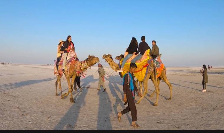 कच्छ रण उत्सव