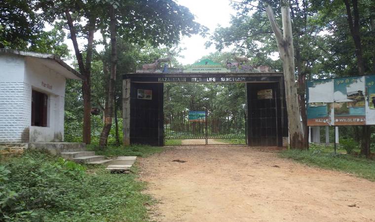 हजारीबाग