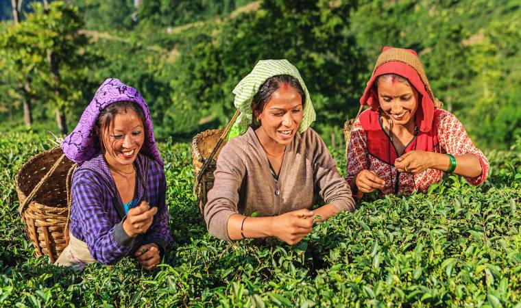 दार्जिलिंग