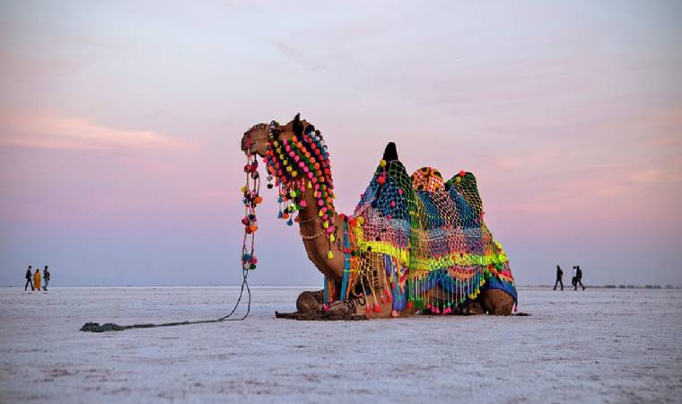 Best Places to Visit in February