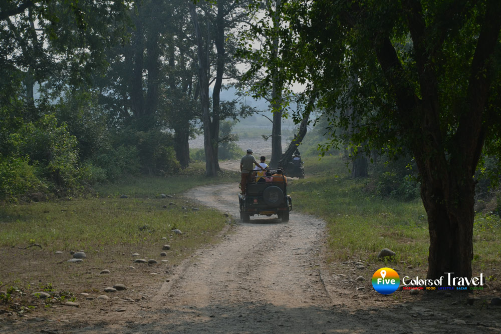 भारत में परिवार के साथ घूमने के लिए 10 सबसे सुरक्षित और मज़ेदार जगहें!