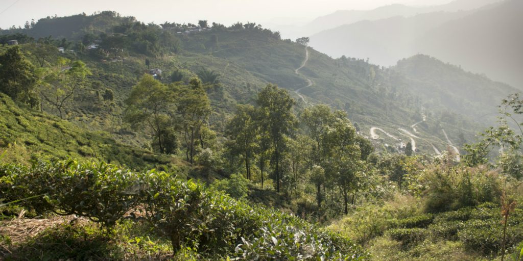 Ecotourism Home Stay 