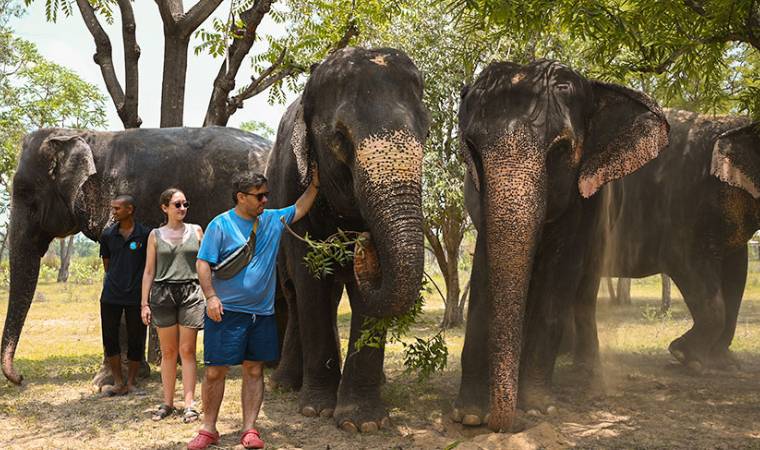 हाथी गांव