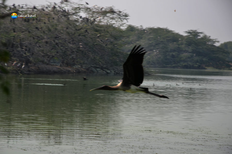 Near Delhi NCR Sultanpur