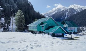 kashmir