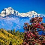 नैनीताल में कहां घूम सकते हैं?  10 सबसे खूबसूरत पर्यटनस्थल
