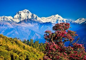 Mount Everest