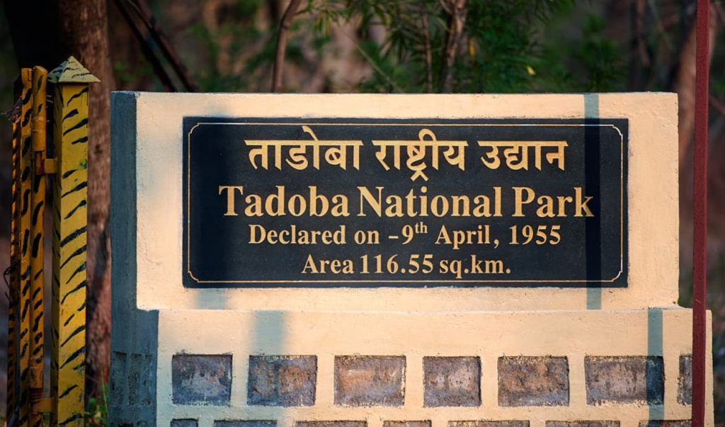 महाराष्ट्र का यह शहर क्यों कहलाता है Orange City? जानिए पूरी कहानी
