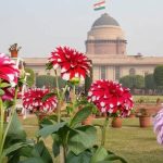 Mitti Cafe राष्ट्रपति भवन में दिव्यांग चलाते हैं ये पूरा कैफ़े! जानिए क्या है पूरी कहानी