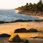 लंबाई और स्टेशनों में नंबर-1, लाखों यात्रियों की लाइफलाइन है ये मेट्रो नेटवर्क!