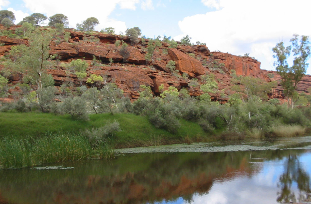 ऑस्ट्रेलिया की Finke River दुनिया की सबसे पुरानी नदी 