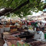 क्यों बन रहा है सिगिरिया-पिडुरंगला 2026 का सबसे ट्रेंडिंग ट्रैवल डेस्टिनेशन?