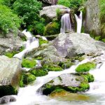 भारत की स्वर्ण नदी: क्यों खास है Subarnarekha River?