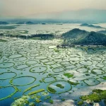 भारत का यूरोपियन शहर: जानिए इस लिटिल पेरिस के बारे में!