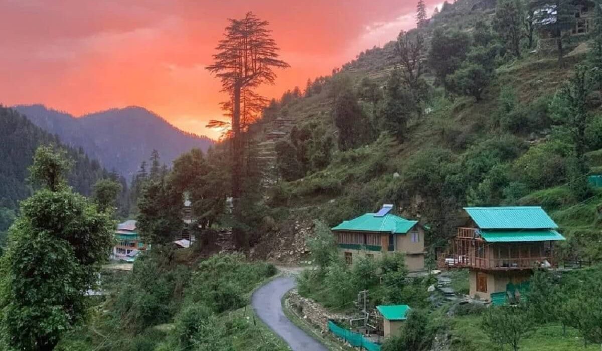 Jibhi