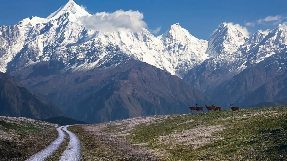 “India’s Hidden Cold Places”