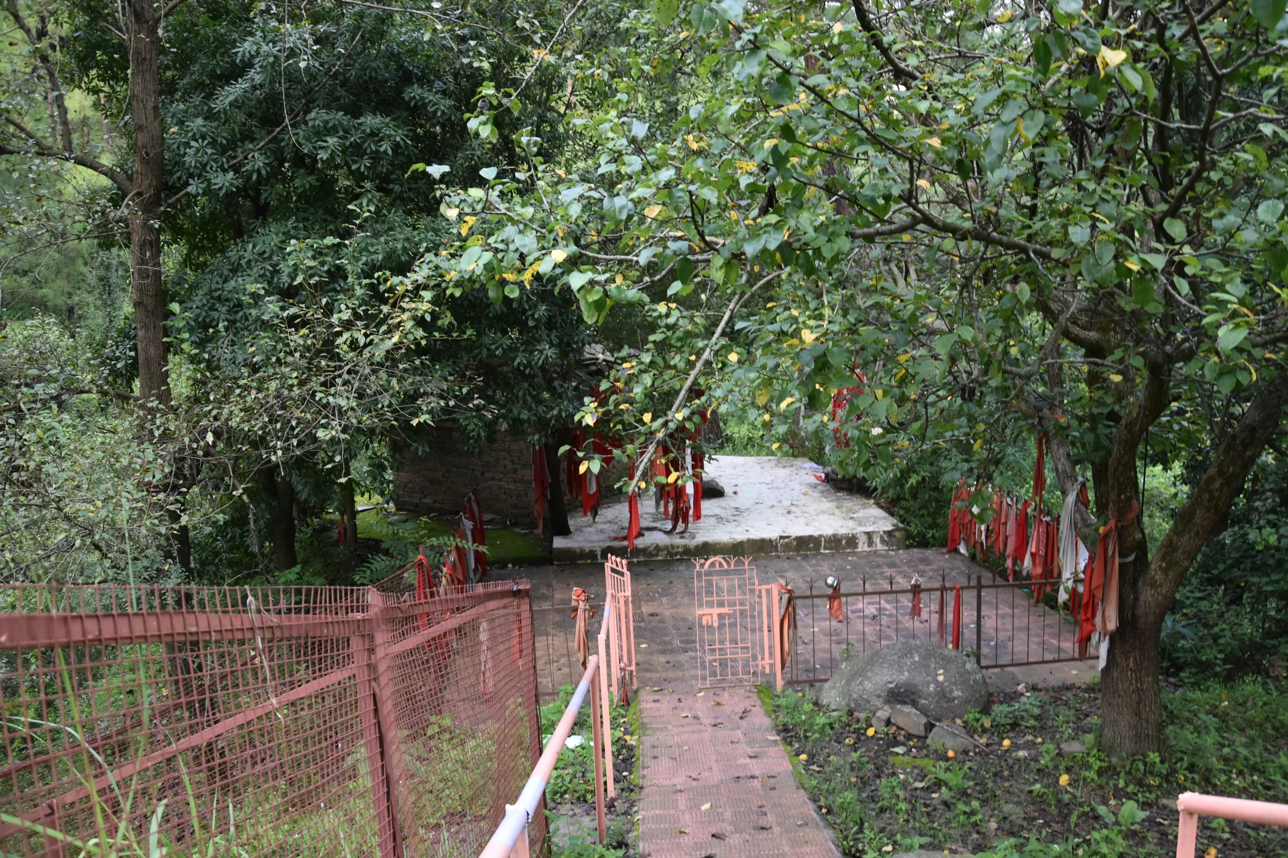 Rajgarh Hills
