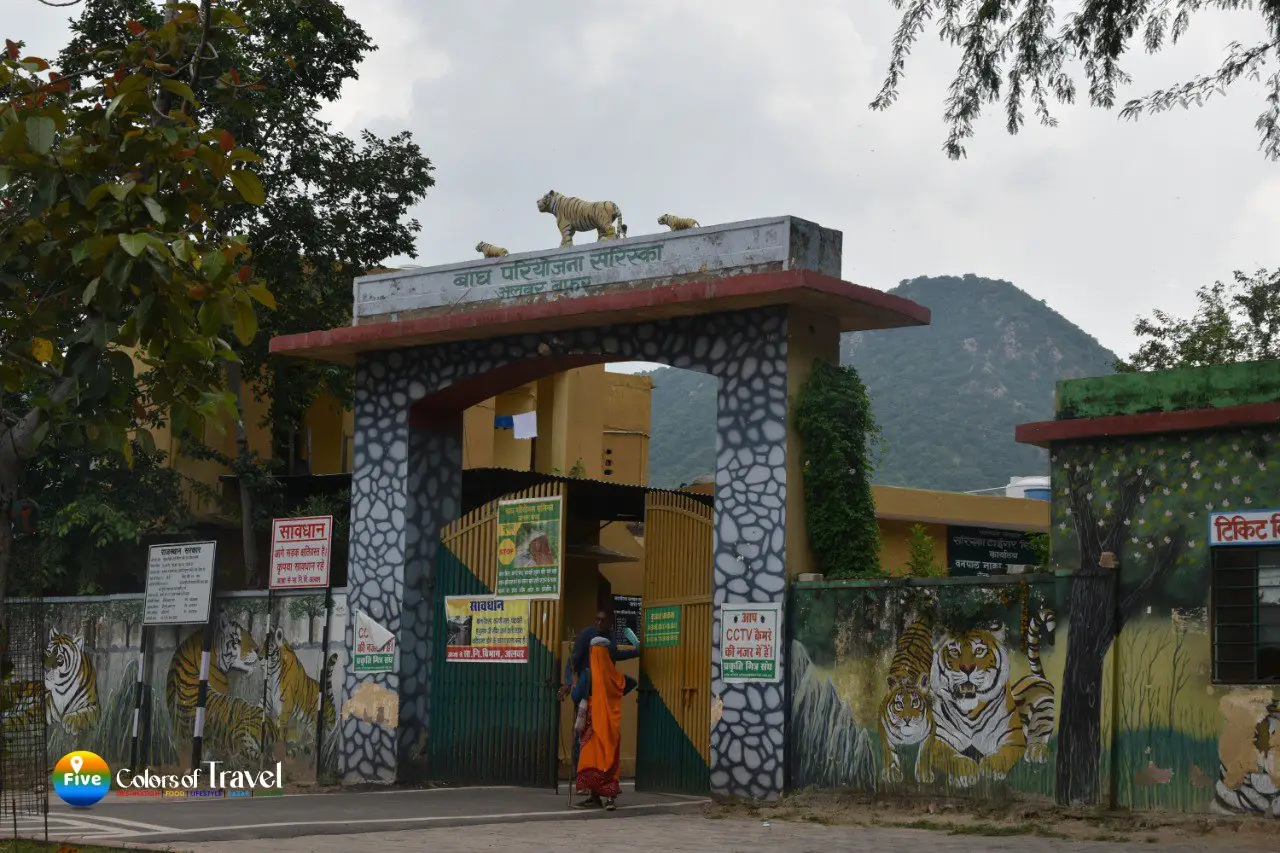 Sariska Jungle Safari Alwar