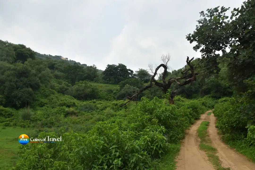 green valley of alwar