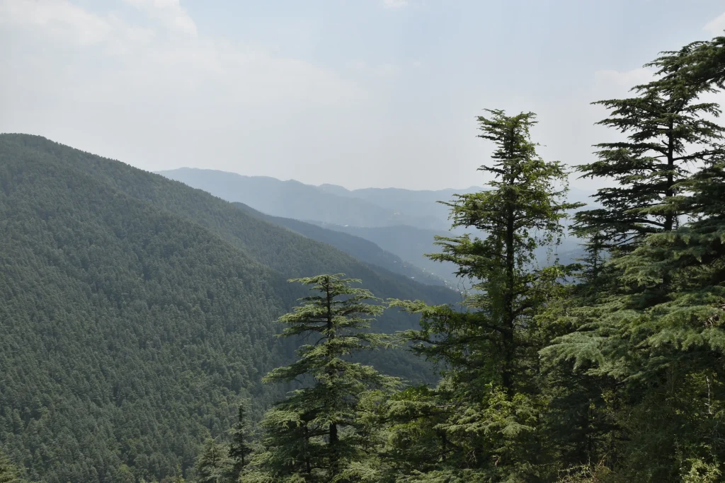 Kufri