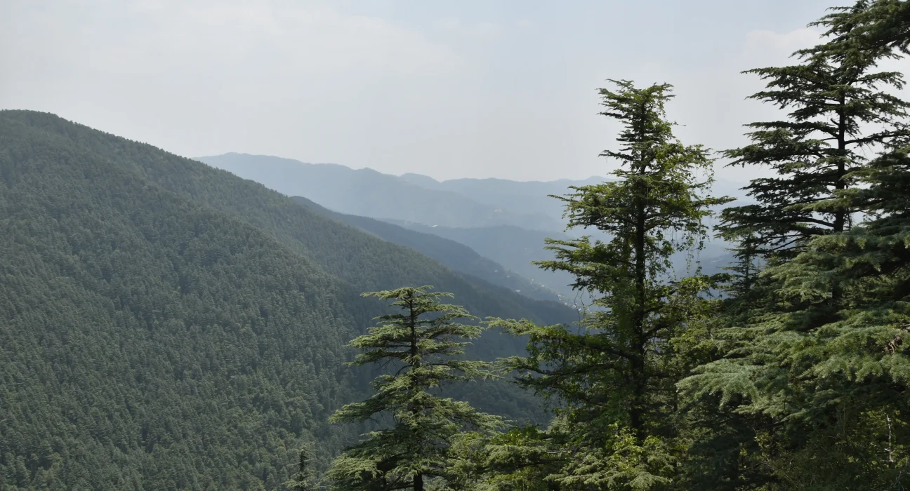 Kufri