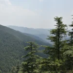 Tehri Lake की 5 एक्टिविटीज, ट्रिप को बना देंगी unforgettable