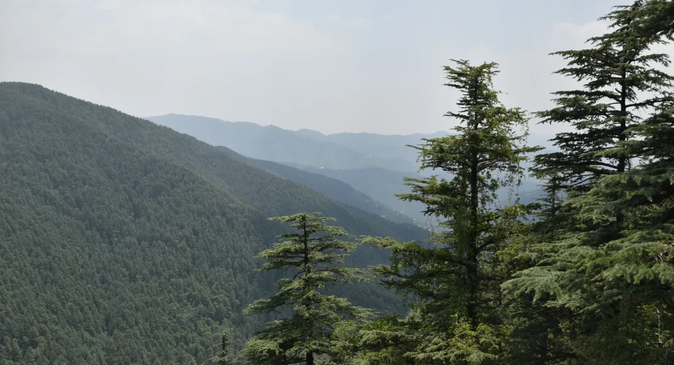 Kufri