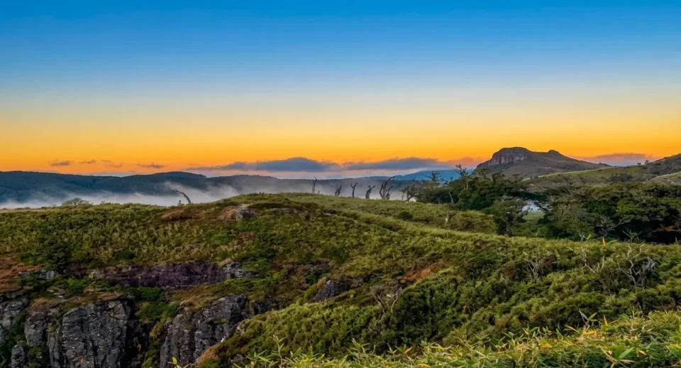 Dzukou Valley