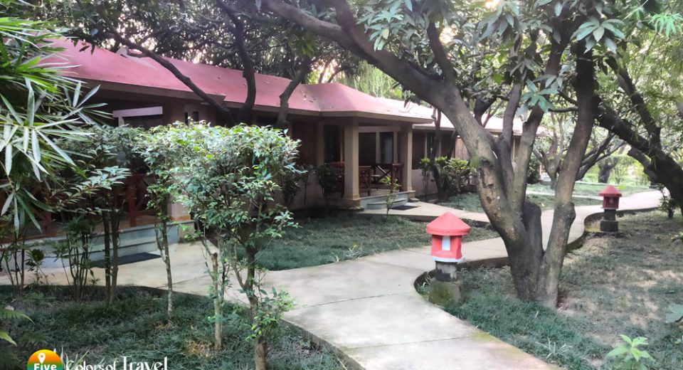 Tiger-Camp-Resort--Ramnagar