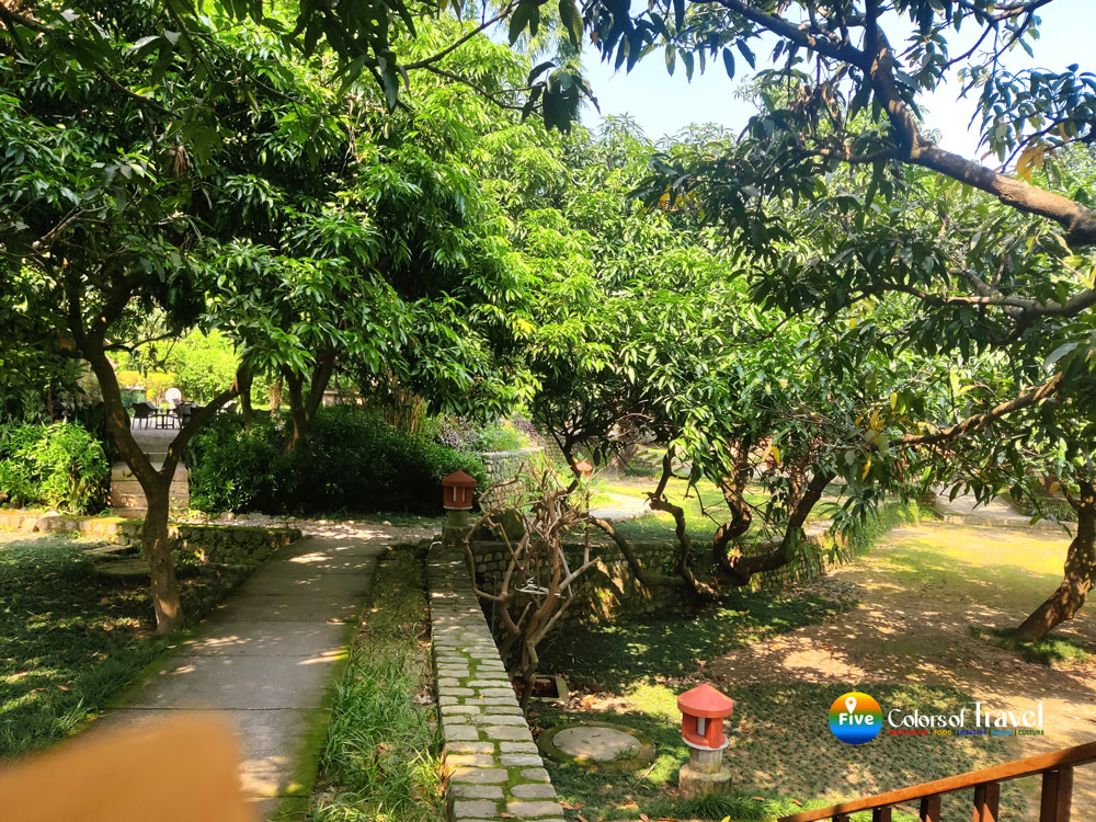 Tiger-Camp-Resort--Ramnagar