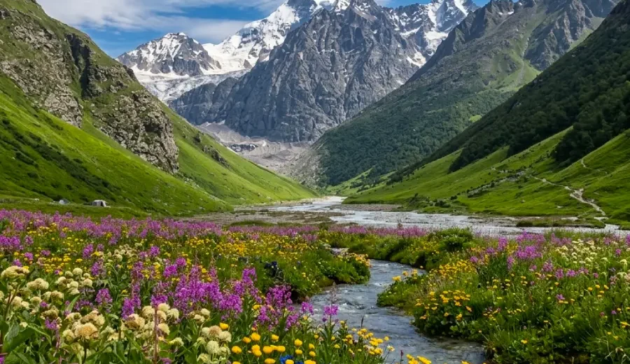 Valley of flowers