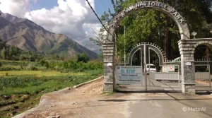 kashmir