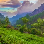 नैनीताल में कहां घूम सकते हैं?  10 सबसे खूबसूरत पर्यटनस्थल