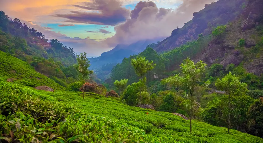 munnar - मानसून