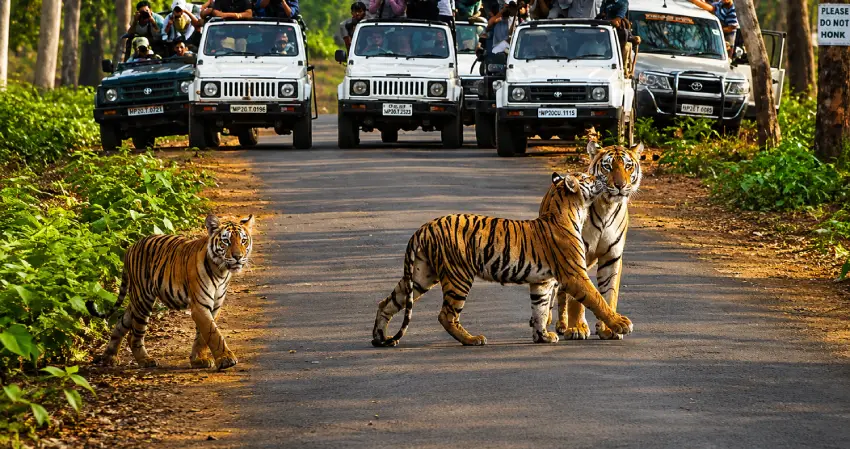 Kanha National Park